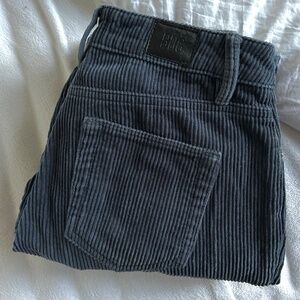 UO Sz 24 BDG Blue Cords Urban Outfitters cozy warm Fall Winter Pants